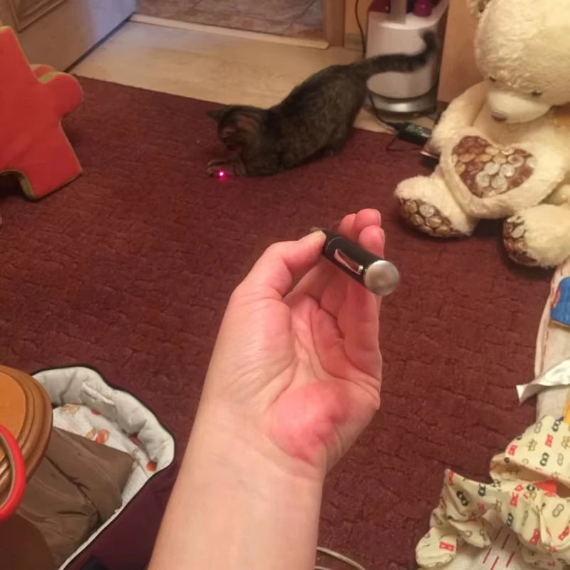 2-in-1 Mini Laser Pointer LED  - đánh giá và giá Industrial Laser Pointer